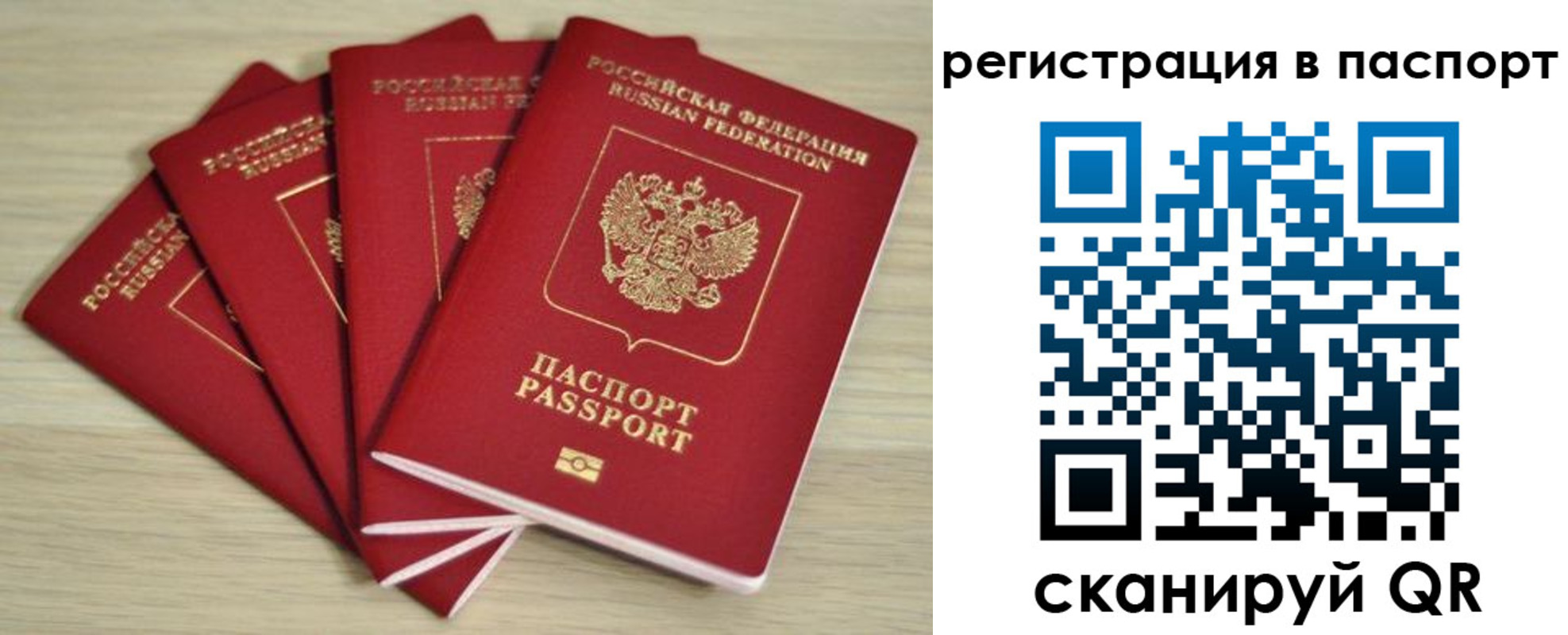временная регистрация для школы в Бикине